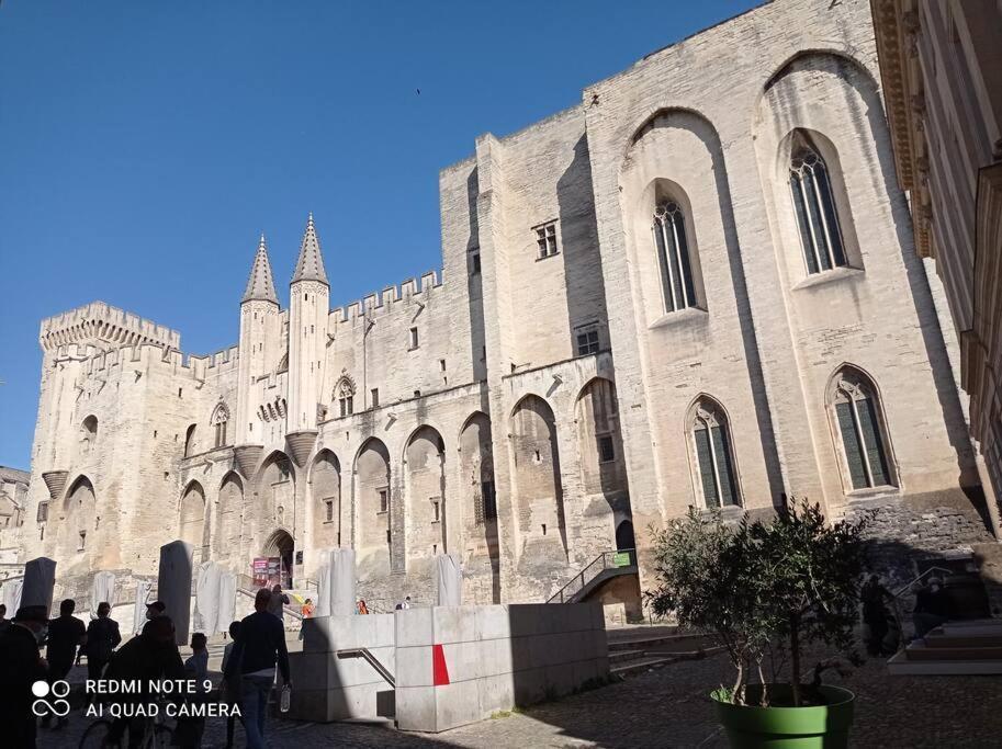 Апартаменты Loft Vue Palais Des Papes Авиньон Экстерьер фото
